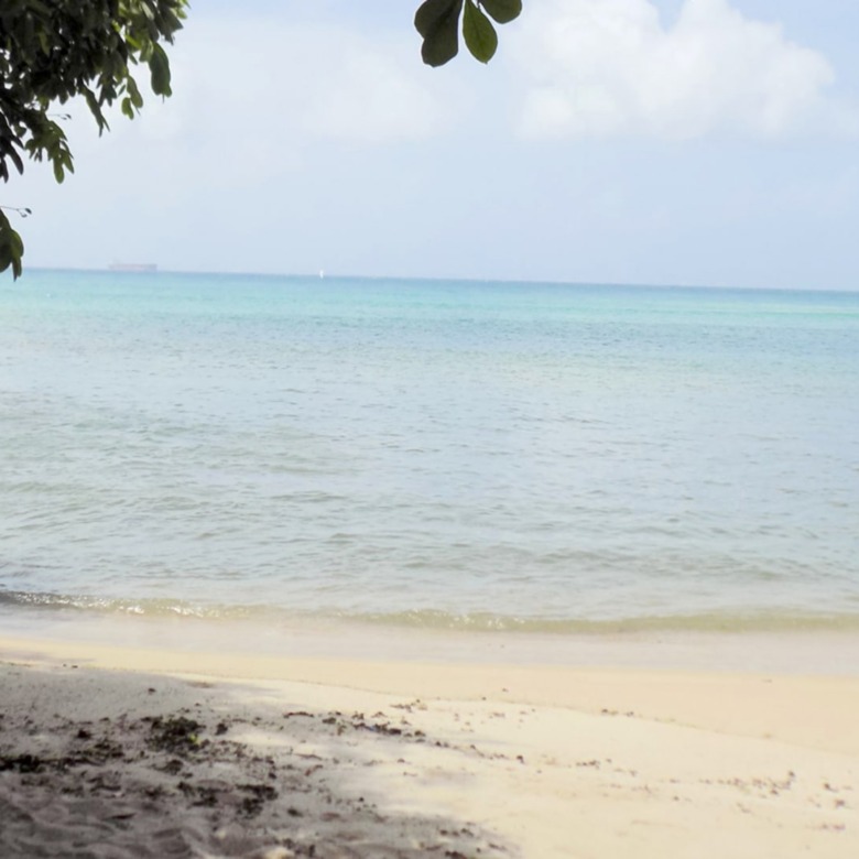 Beach Front Land For Sale At Becune Pointe