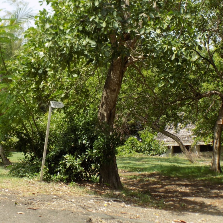 Beach Front Land For Sale At Becune Pointe Cap Estate St Lucia road