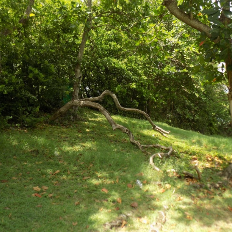 Beach Front Land For Sale At Becune Pointe Cap Estate St Lucia west side view