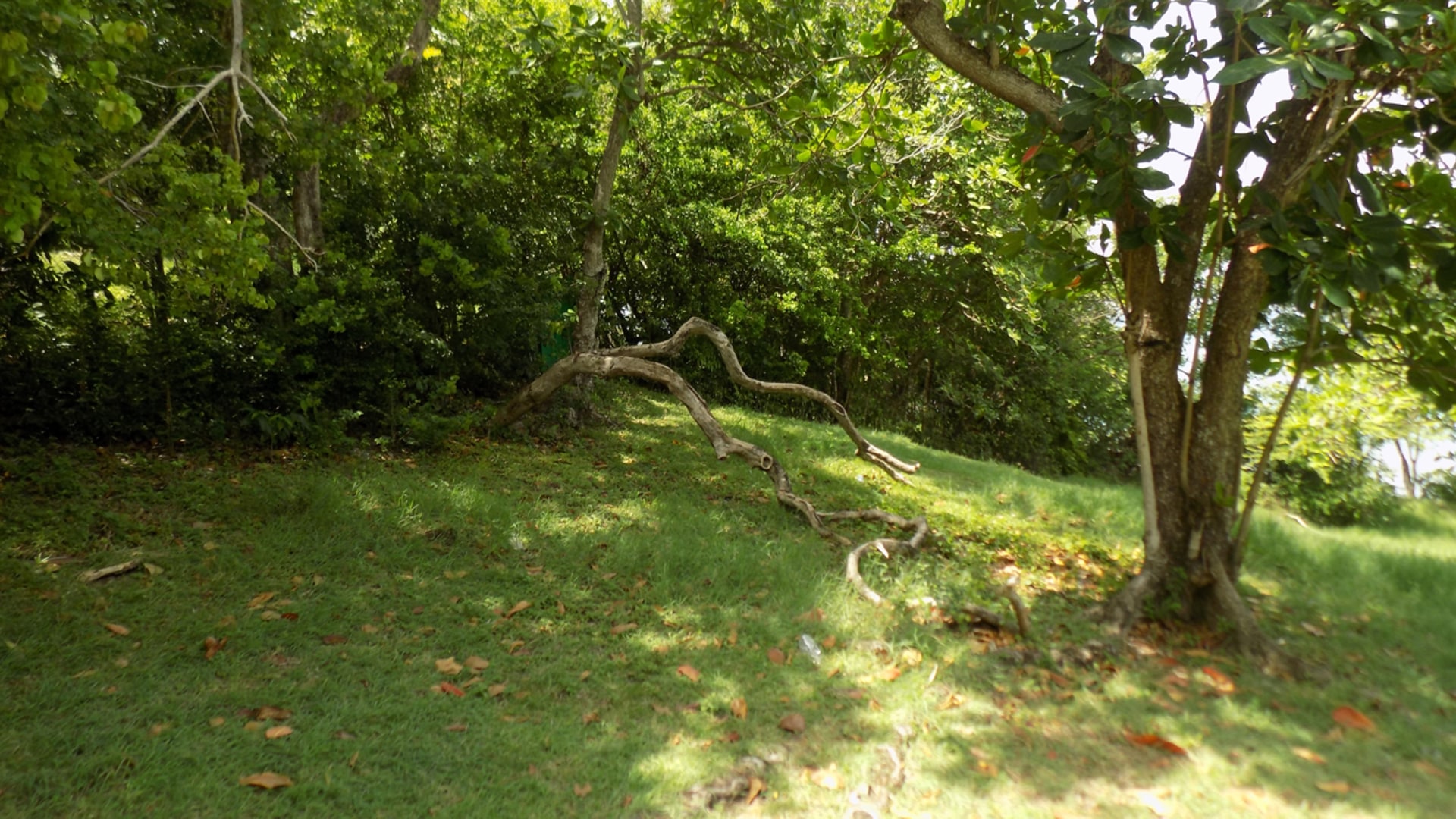 Beach Front Land For Sale At Becune Pointe Cap Estate St Lucia west side view