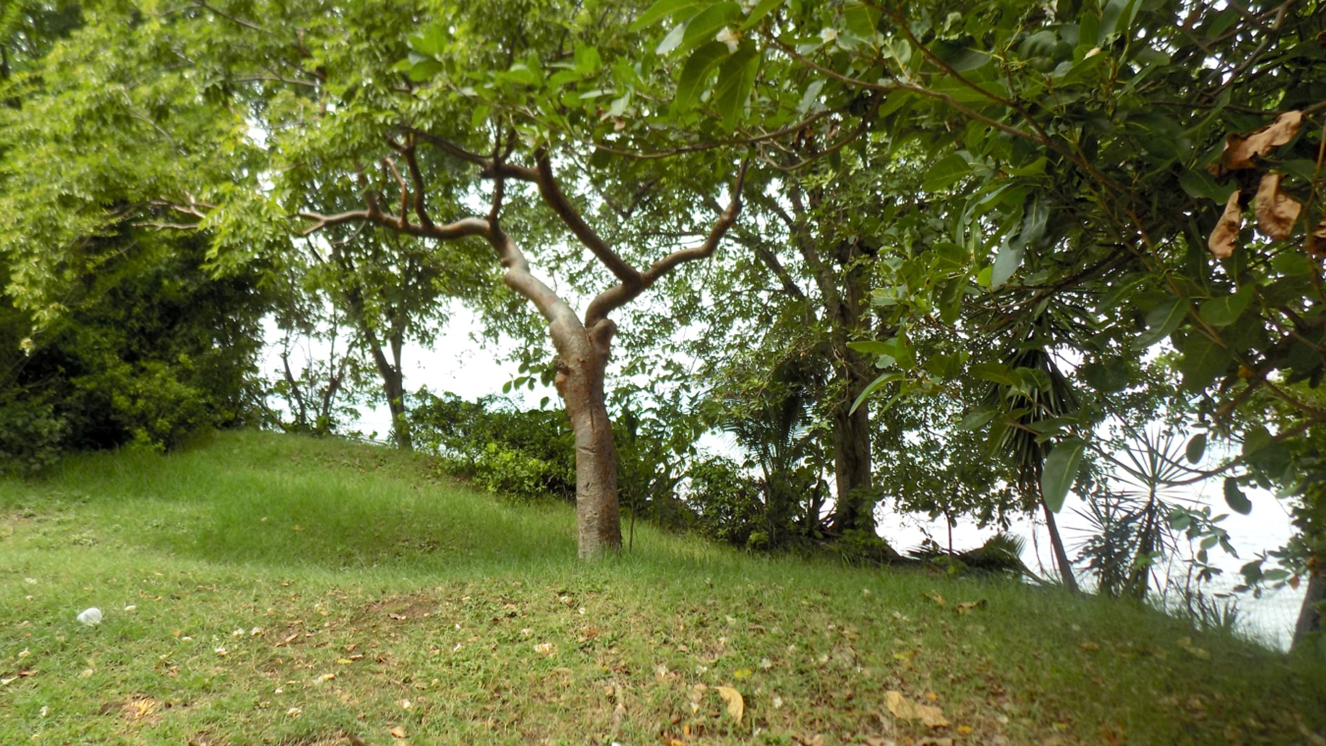 Beach Front Land For Sale At Becune Pointe Cap Estate St Lucia near beach