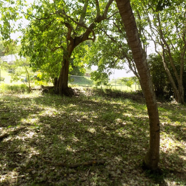 Beach Front Land For Sale At Becune Pointe St Lucia