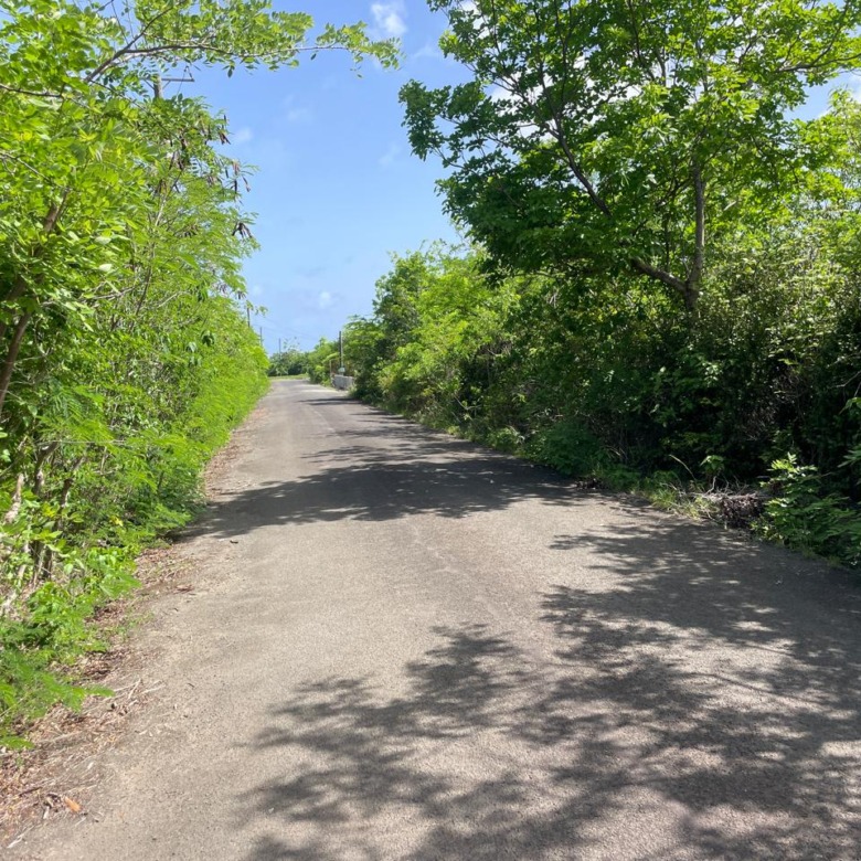Land For Sale in Vieux Fort Black Bay saint lucia