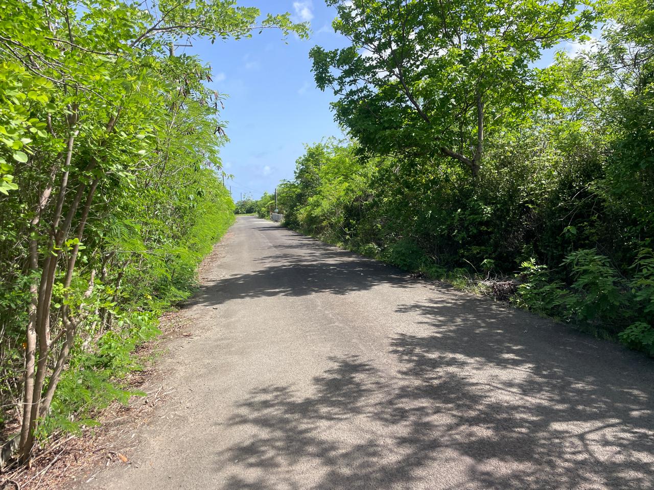 Land For Sale in Vieux Fort Black Bay saint lucia