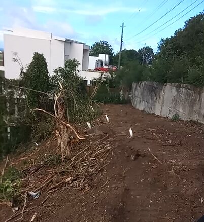 Land For Sale in St Lucia Cap Estate 14381 SF ready to build