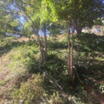 14381 SF Land For Sale at Cap Estate saint lucia