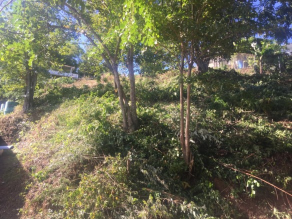 14381 SF Land For Sale at Cap Estate saint lucia