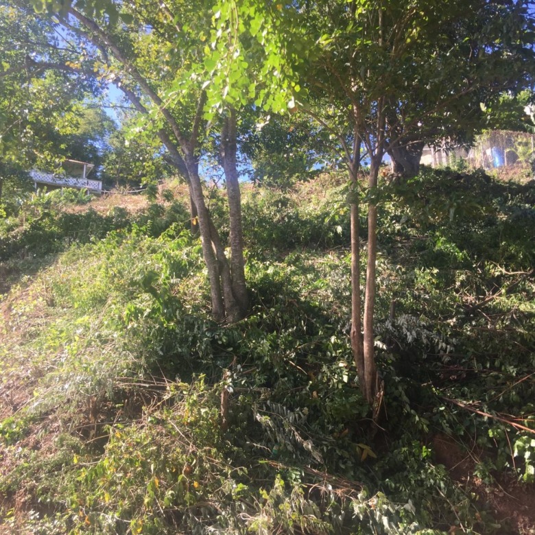 14381 SF Land For Sale at Cap Estate