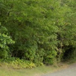 Trouya Land For Sale 37,522 S.F. in st lucia