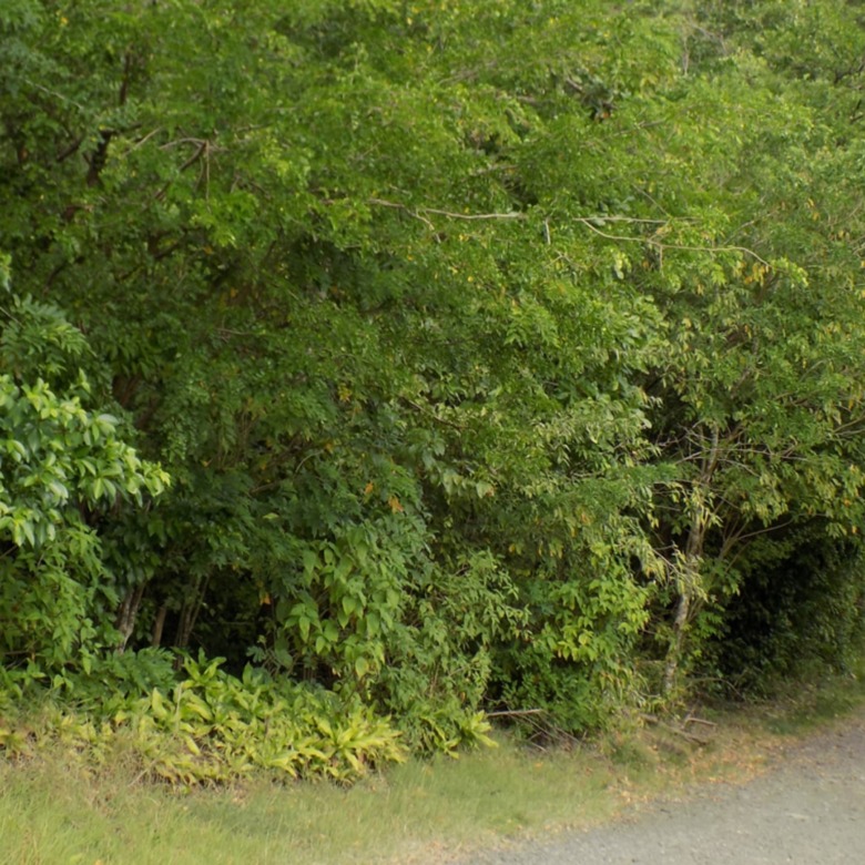 Trouya Land For Sale 37,522 S.F.