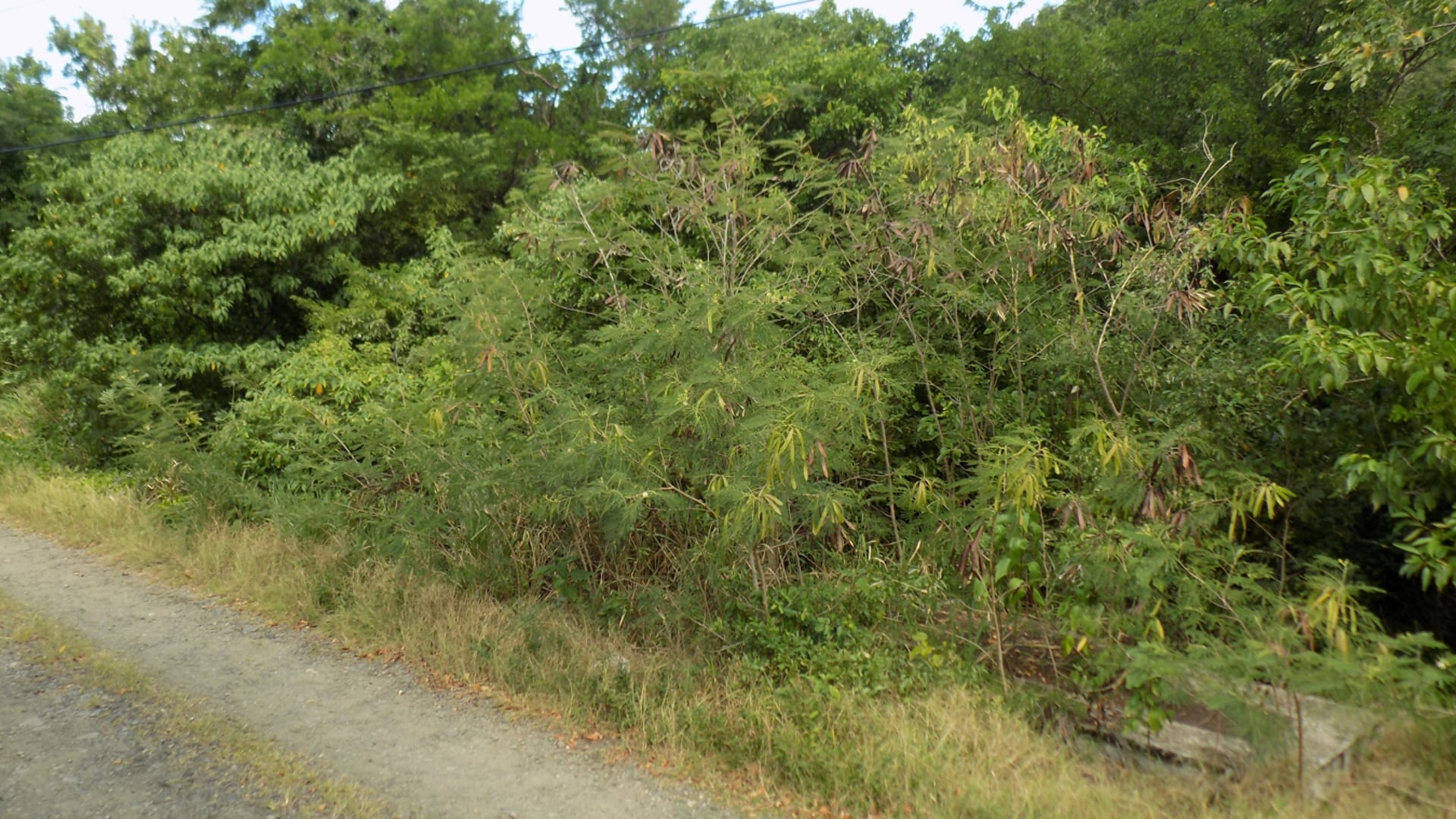 land for sale in st lucic - Trouya Land For Sale 37,522 S.F. dirt road