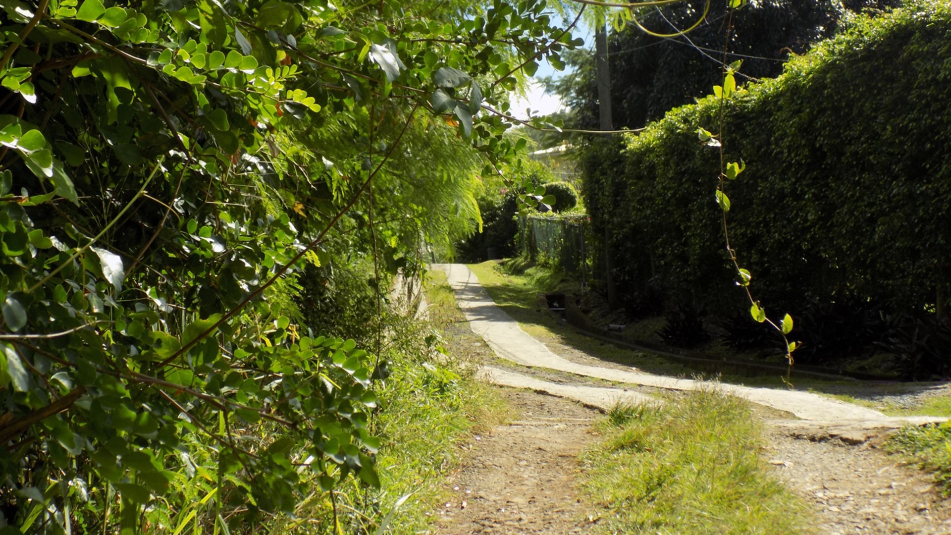 land for sale in st lucic - Trouya Land For Sale 37,522 S.F. bush