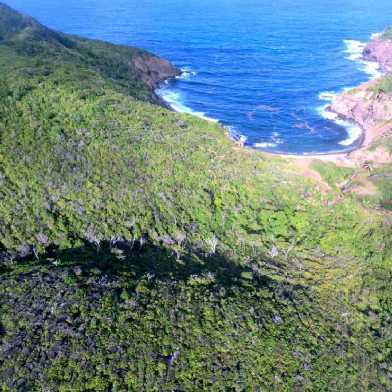 Beachfront land for sale St Lucia