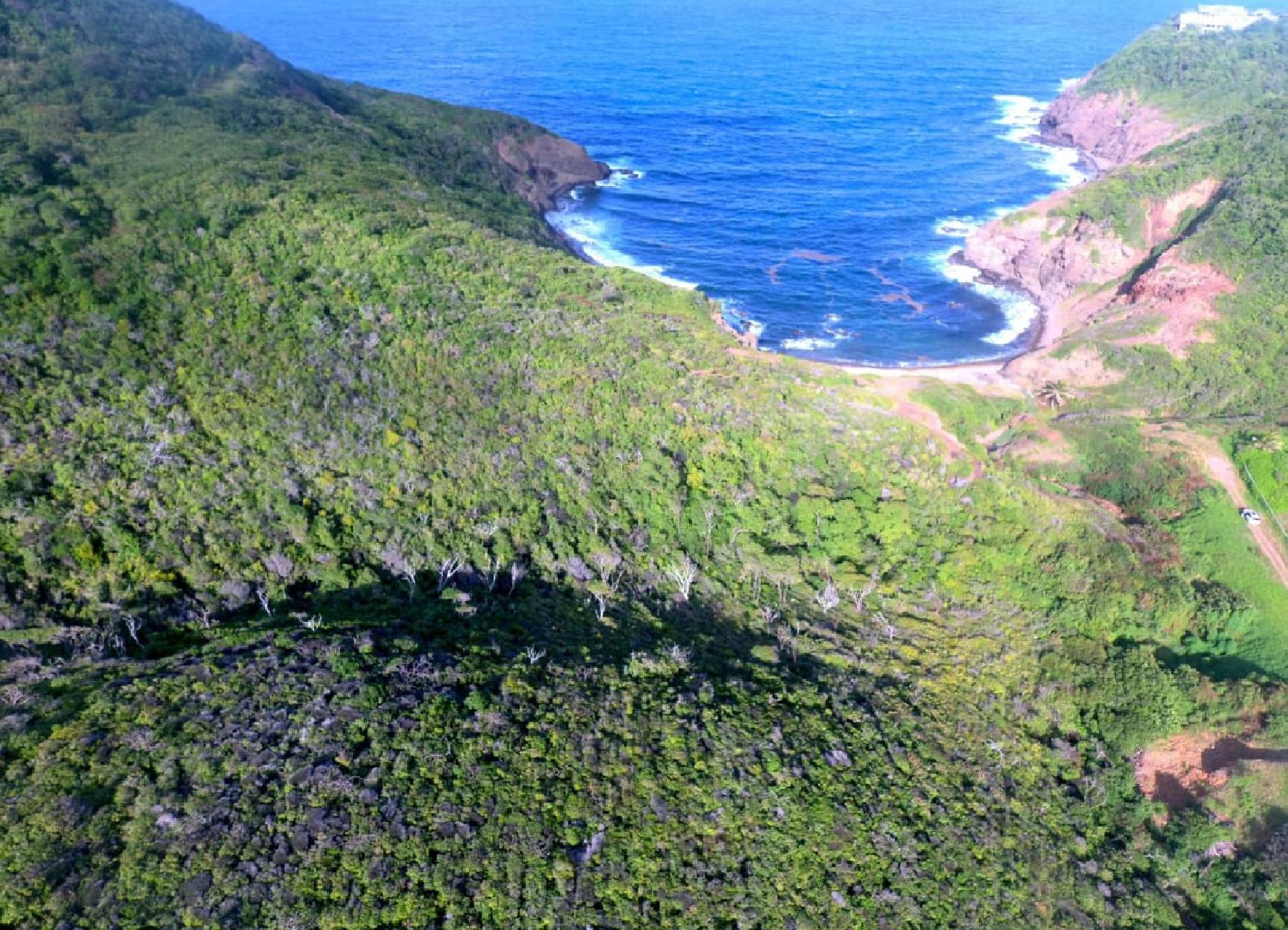 Beachfront land for sale St Lucia