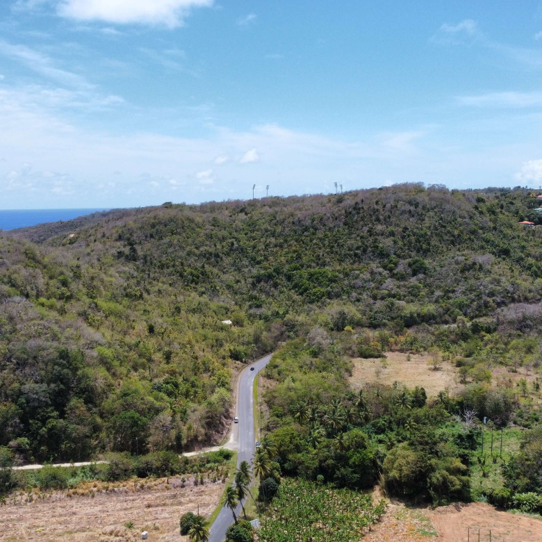 land for sale in praslin micoud