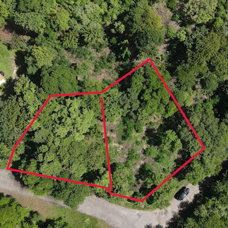 Breathtaking Lots in Mount Hardy Cap Estate