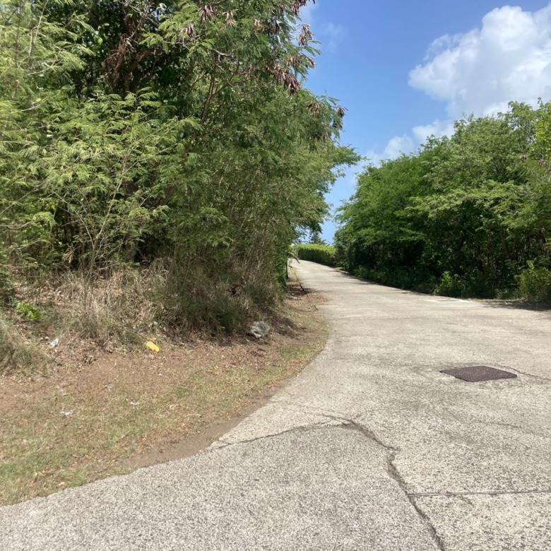 land for sale at mount hardy mountain view corner lot