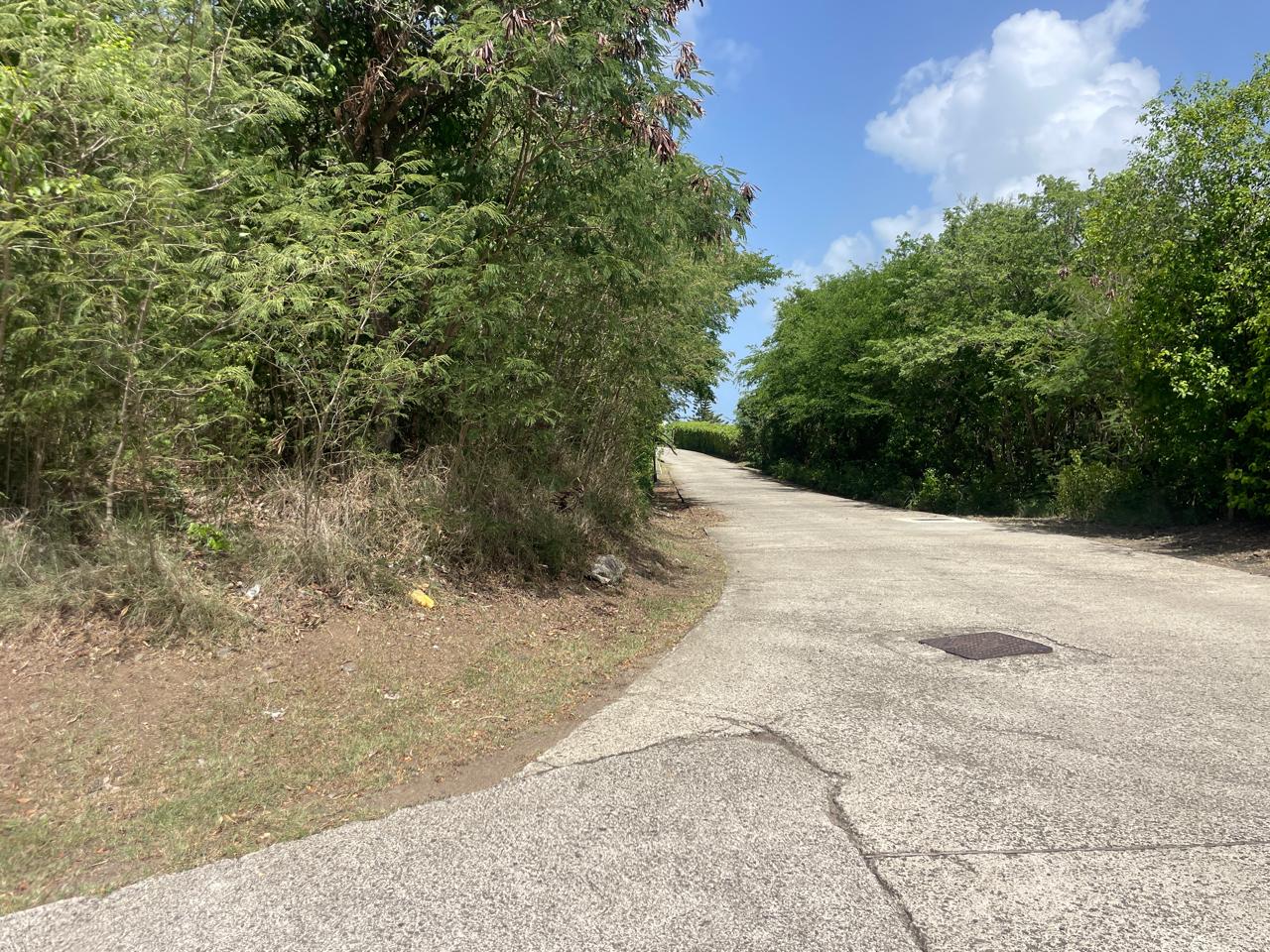 land for sale at mount hardy mountain view corner lot