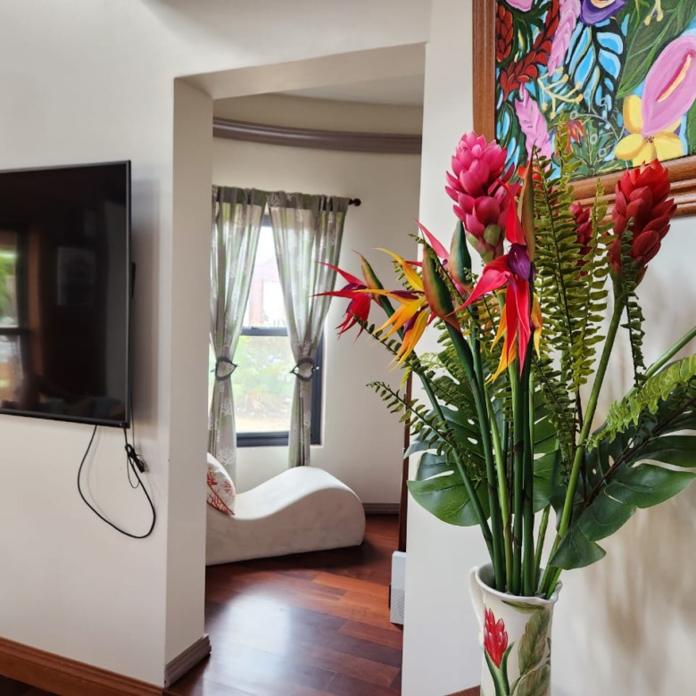 La Belle Maison St Lucia real Estate tv