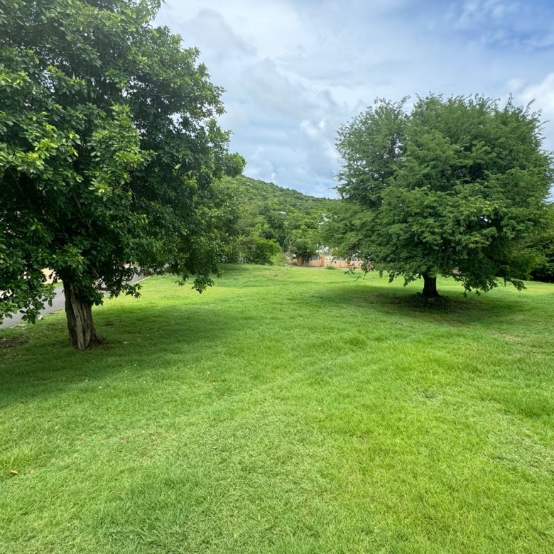 st lucia real estate: flat land for sale caribbean