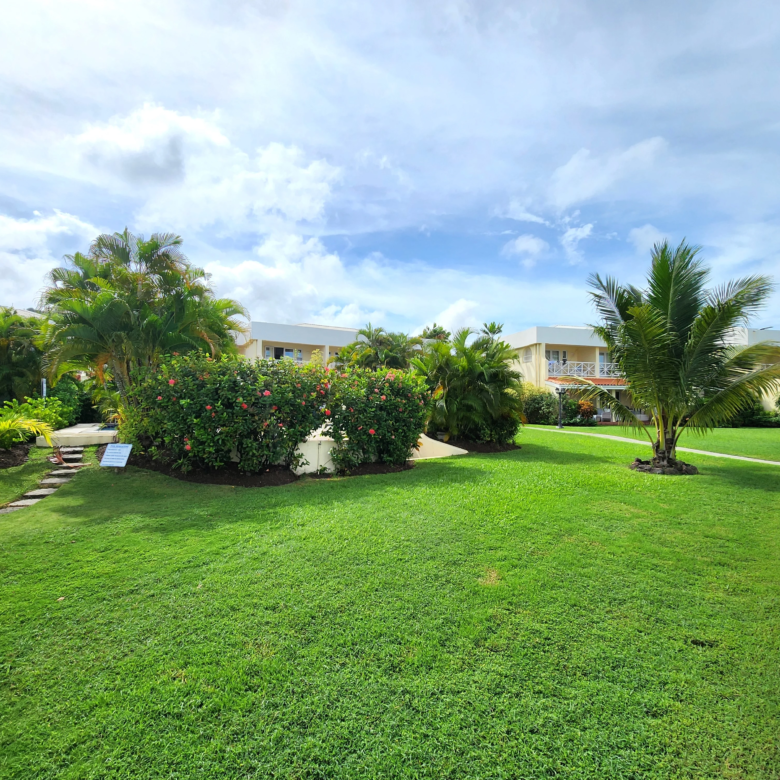 st lucia real estate bay view condo for sale lawn