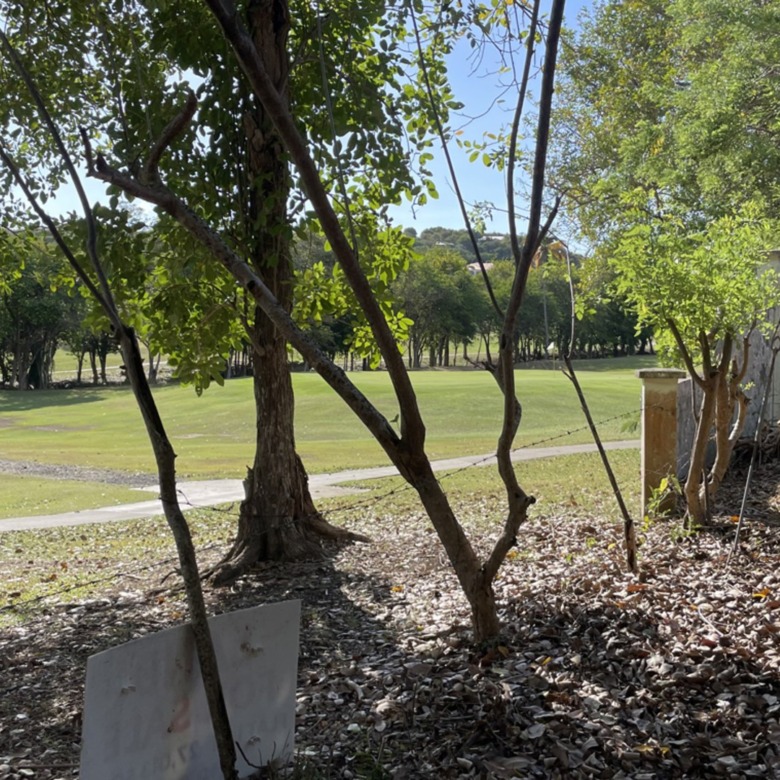 Land For Sale in St Lucia With Golf Course View ready to build