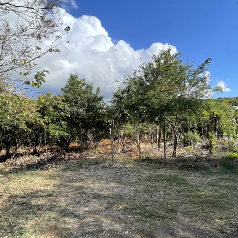Land For Sale in St Lucia With Golf Course View real estate st lucia