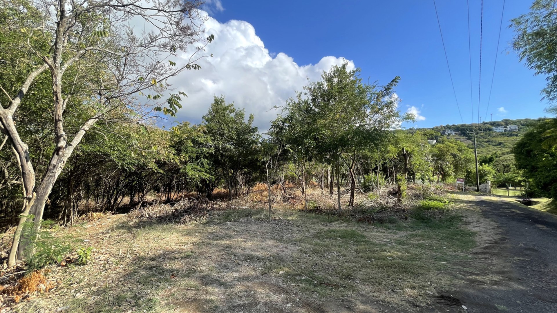 Land For Sale in St Lucia With Golf Course View real estate st lucia