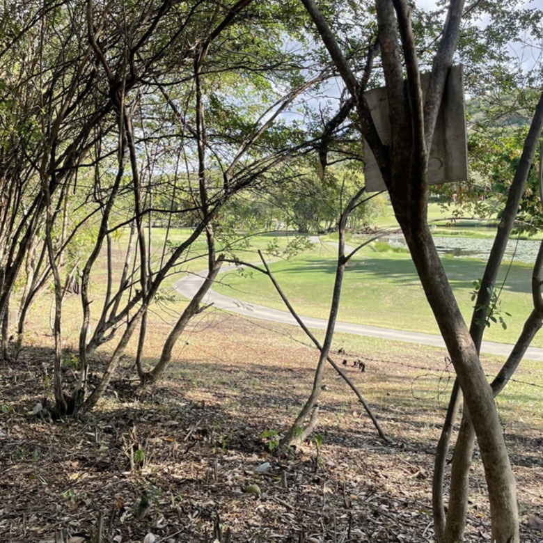 Land For Sale in St Lucia With Golf Course View near cabot