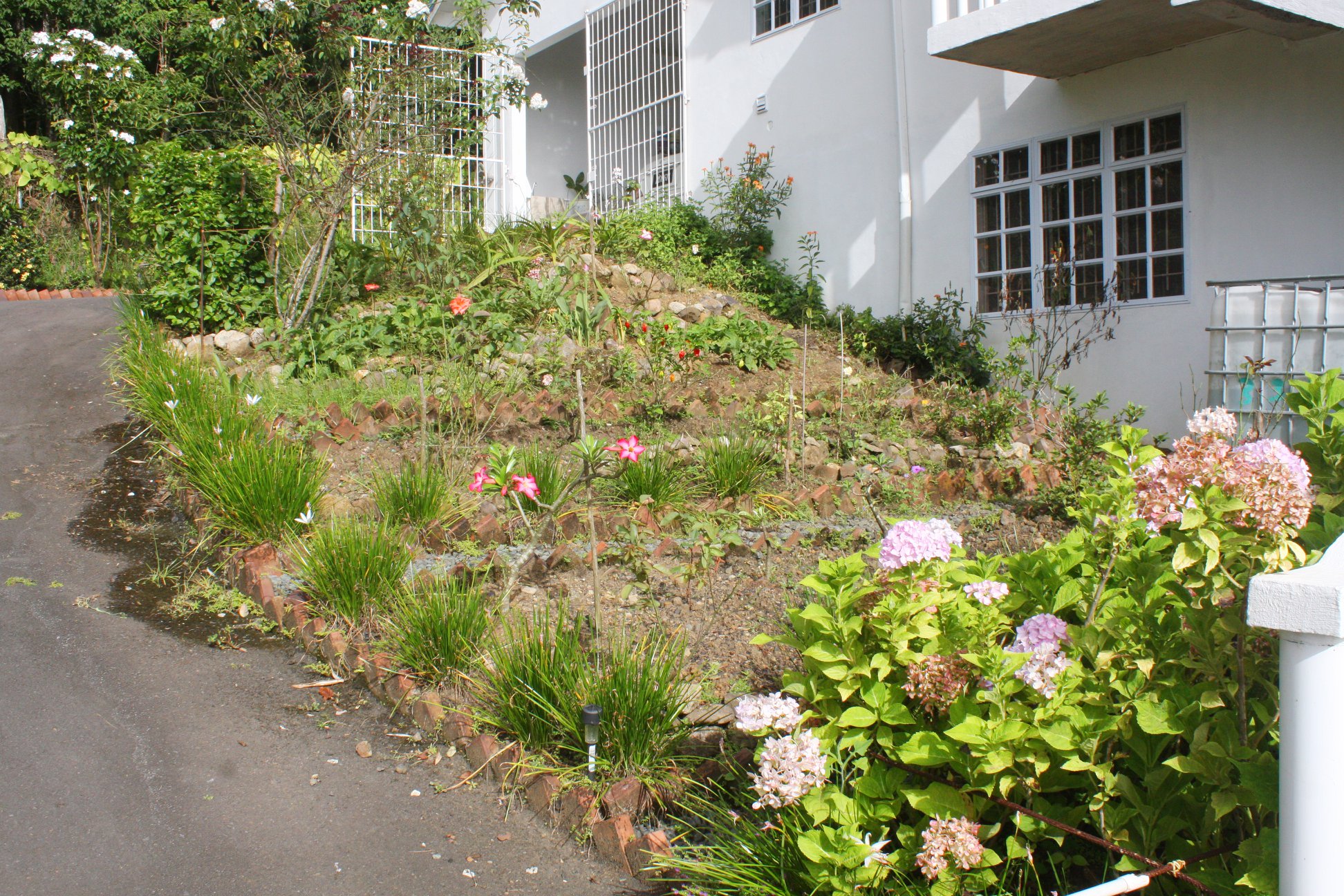 house and land for sale in st lucia castries yard