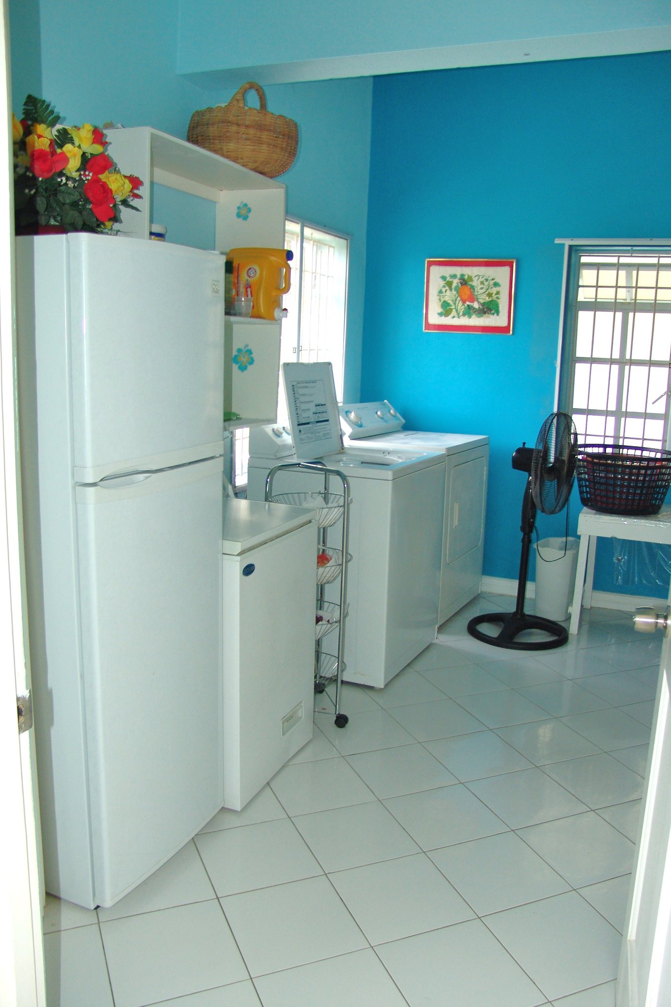 house and land for sale in st lucia castries coubrail laundary