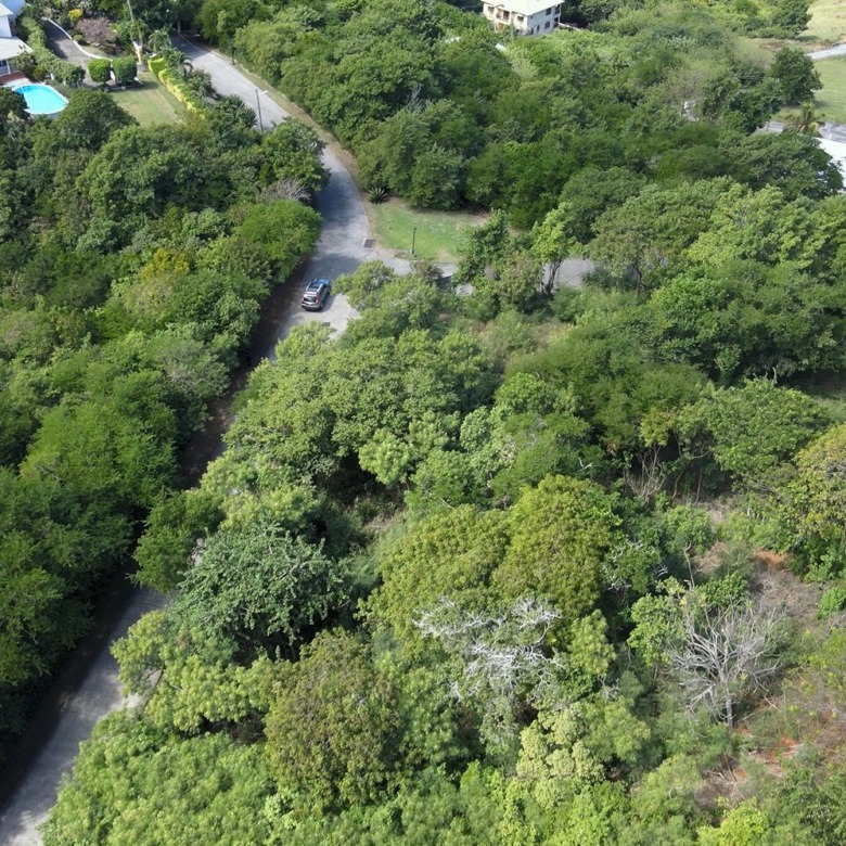 Oceanview Lot Overlooking Cabot Golf Course