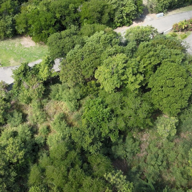 Oceanview Lot Overlooking Cabot Golf Course