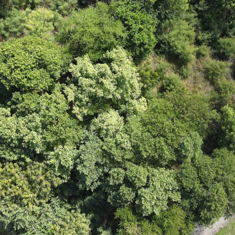 Oceanview Lot Overlooking Cabot Golf Course
