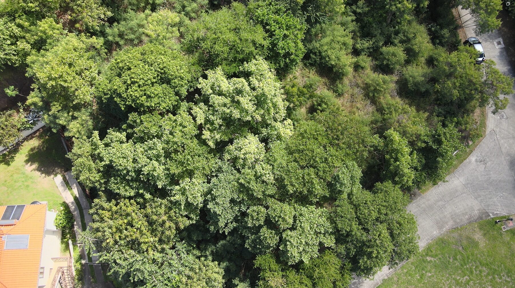 Oceanview Lot Overlooking Cabot Golf Course