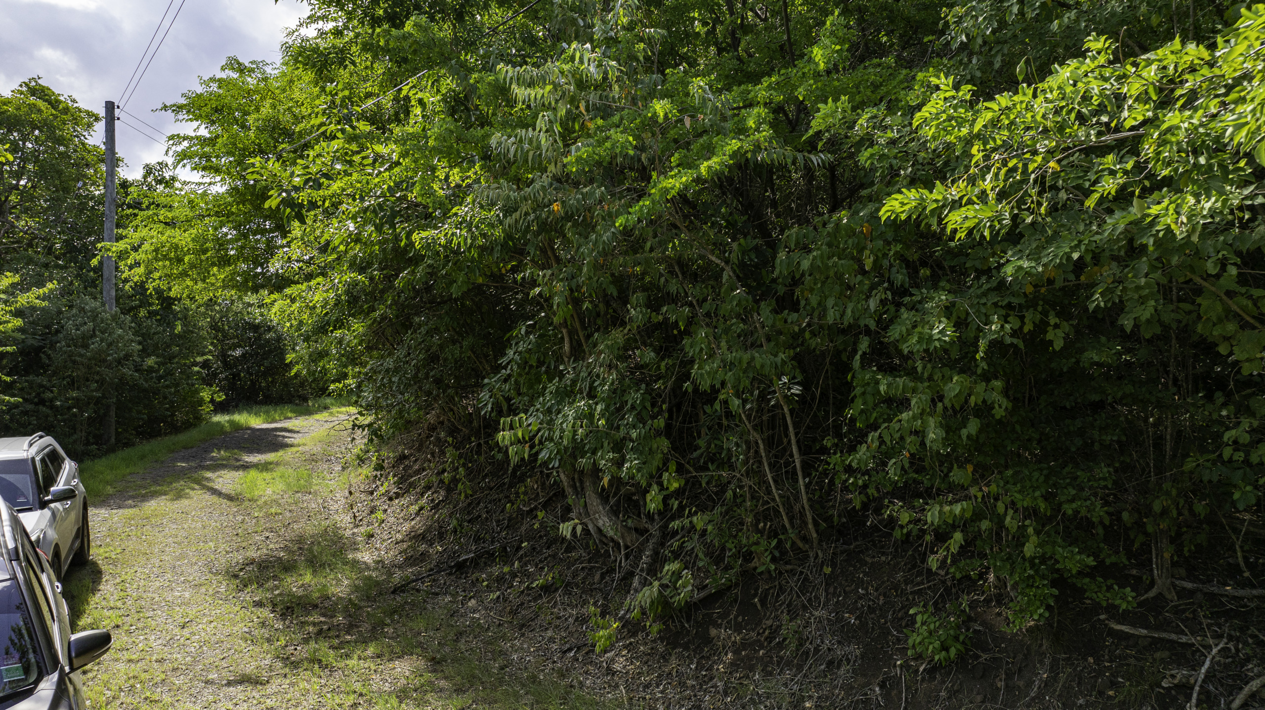 2 Lots for Sale in Cap Estate, St. Lucia real estate dirt road