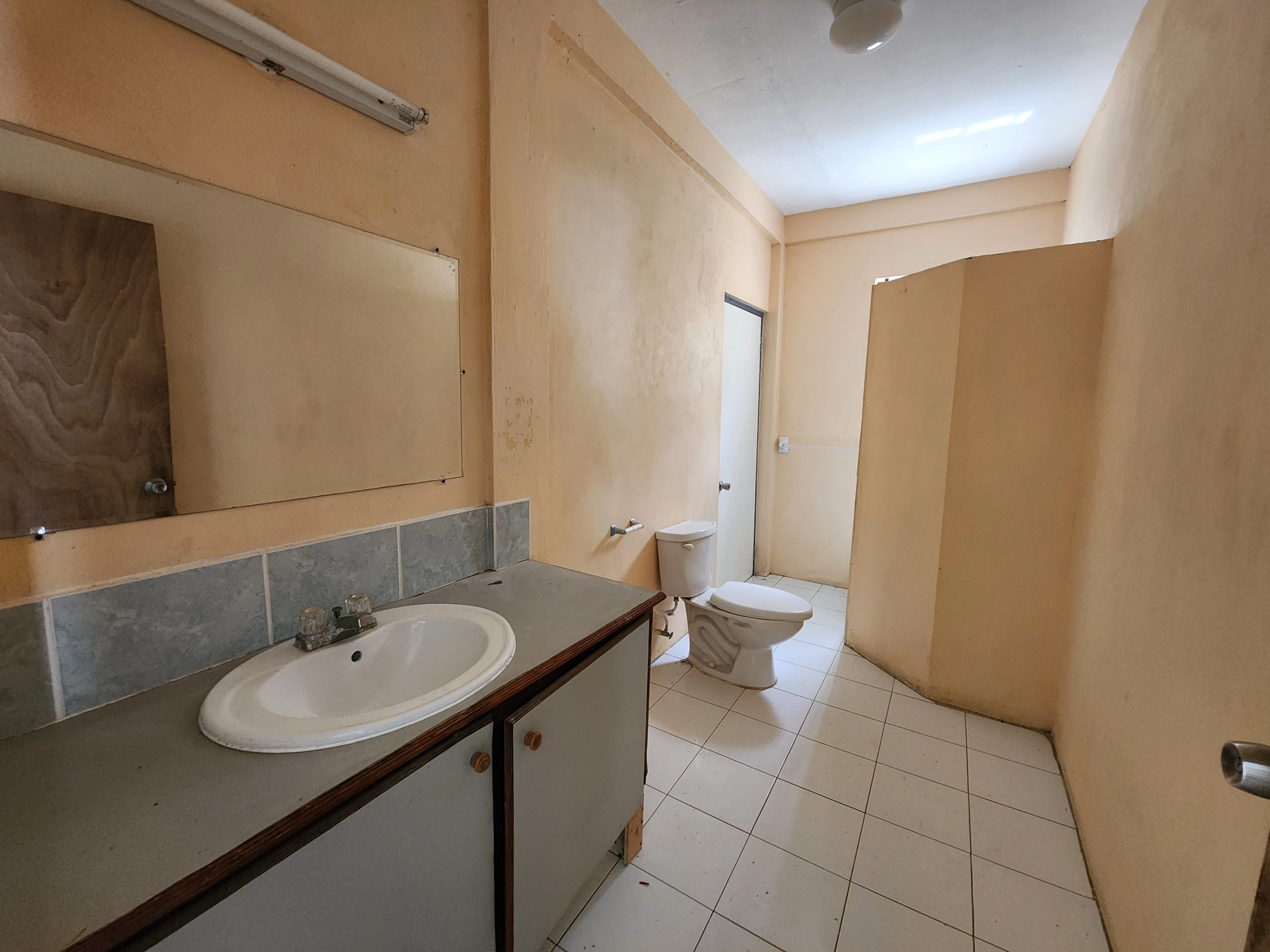 st lucia real estate Prime Dual-Use Investment Property in Beausejour toilet