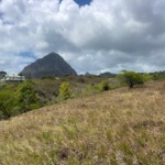 3.5 Acres Land For Sale in Choiseul