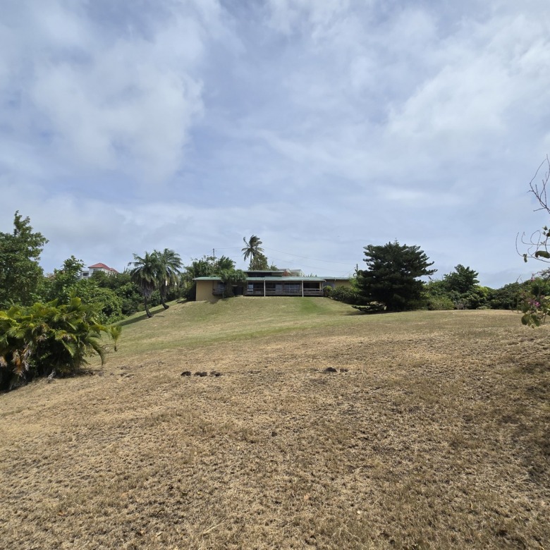 Oceanview Villa on 1.5 Acres in Bonne Terre, St. Lucia real estate bungalow villa