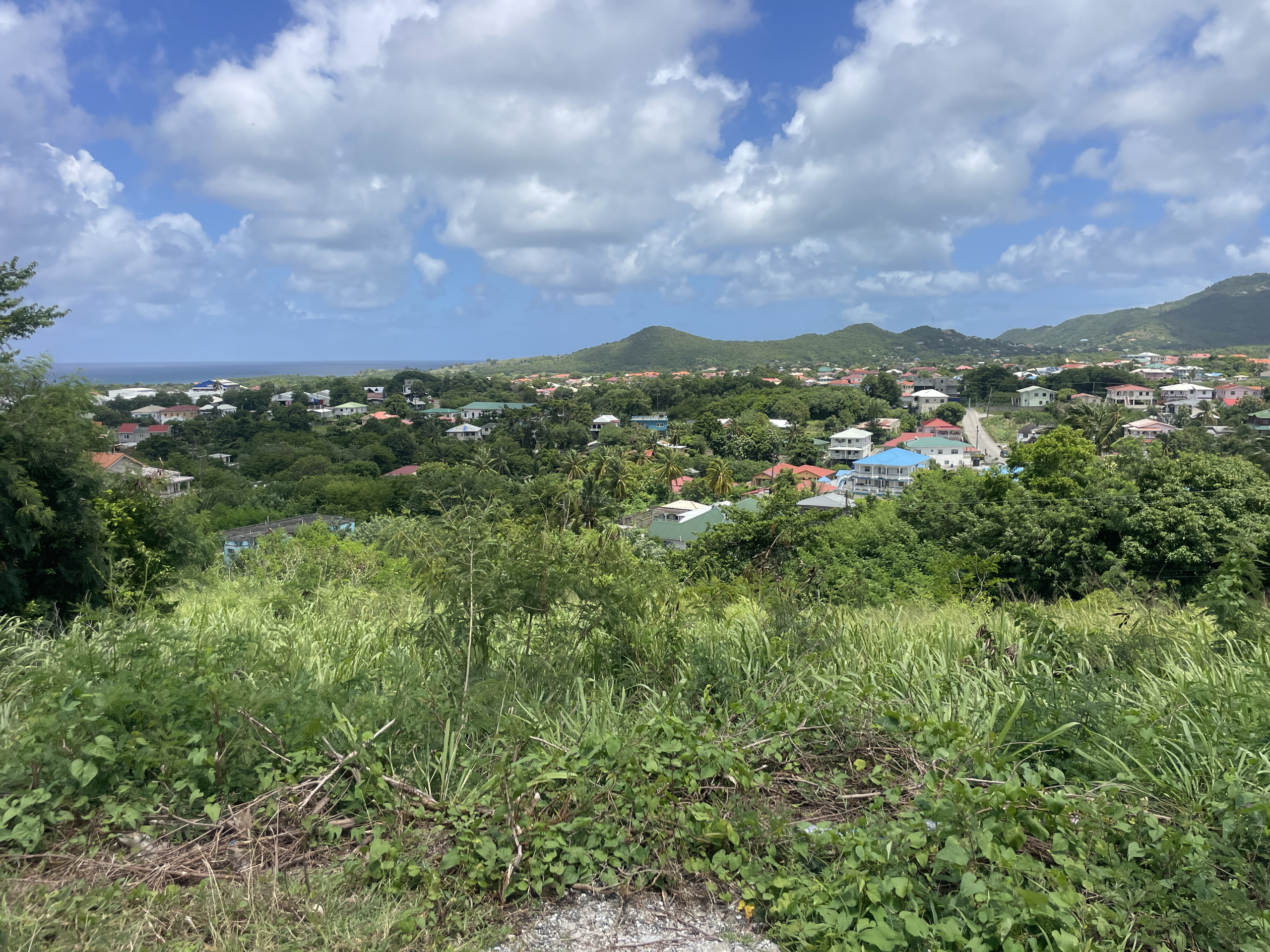 6522 Sq Ft Land for Sale Cedar Heights