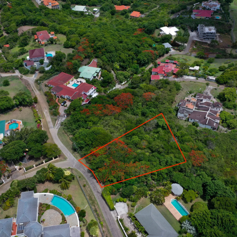 780