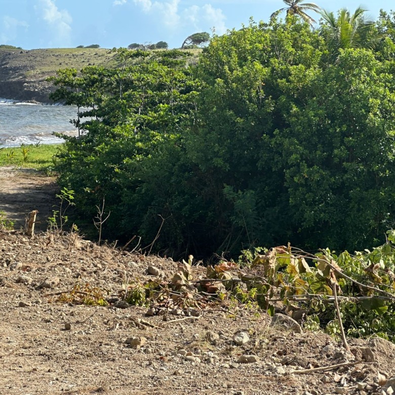 Oceanview Lots for Sale – Canelles, St. Lucia