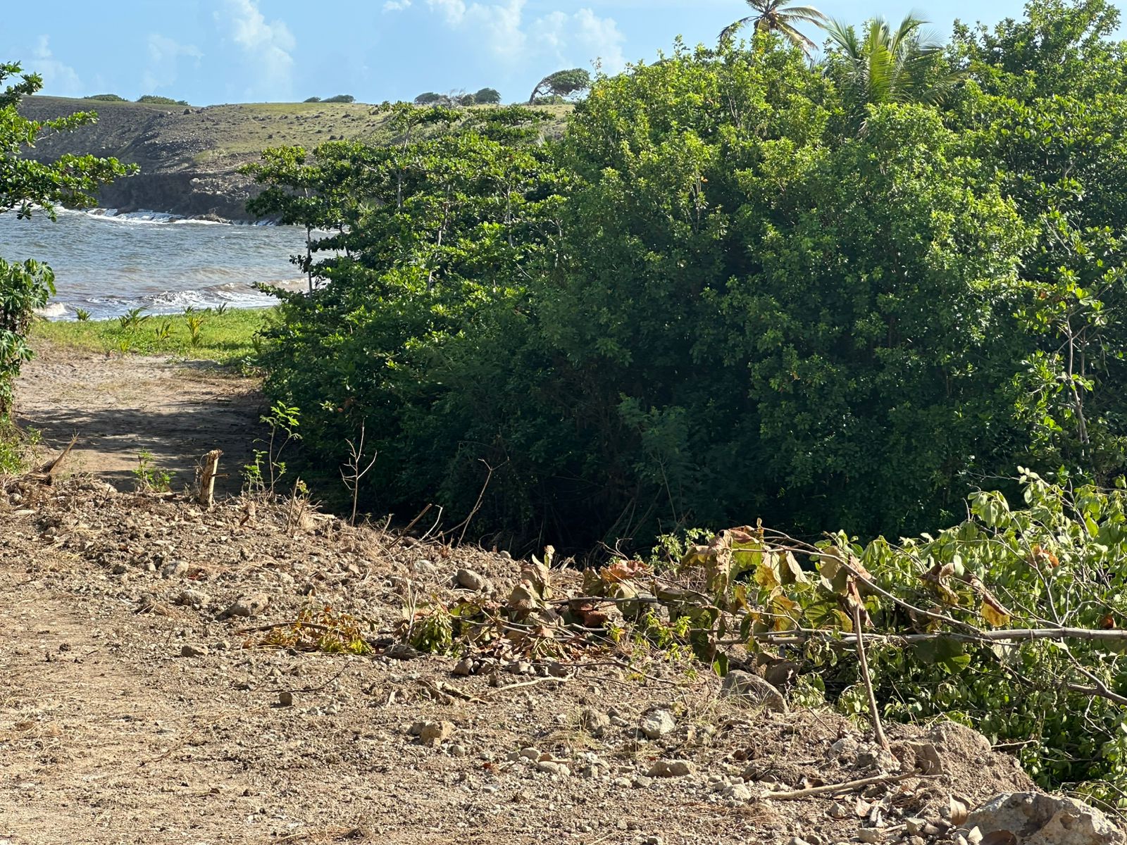 Land for sale in Cannelles1 Oceanview Lots for Sale – Canelles, St. Lucia