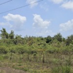 3.75 acres of prime land for sale in Desruisseaux, Micoud. Gently sloping with coastal views, utilities nearby. Ideal for residential or agricultural use.