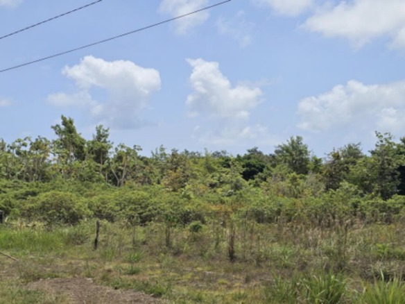 3.75 acres of prime land for sale in Desruisseaux, Micoud. Gently sloping with coastal views, utilities nearby. Ideal for residential or agricultural use.