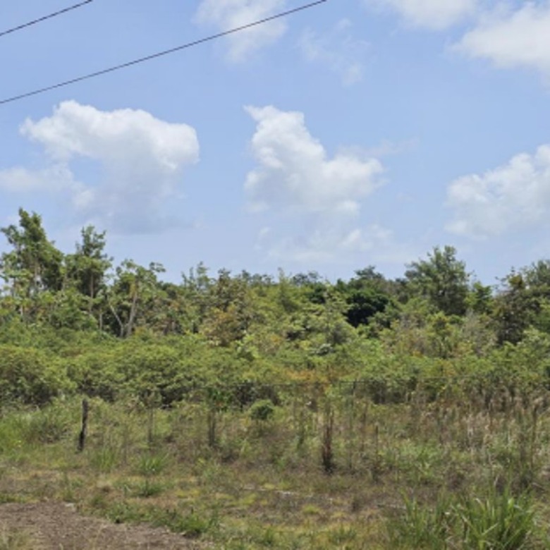 3.75 Acres of Prime Land for Sale – Desruisseaux, Micoud