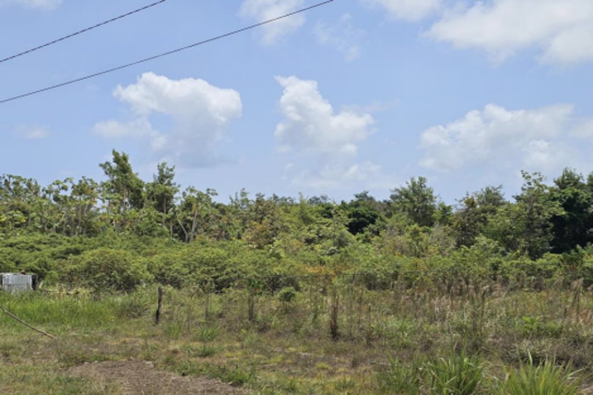 3.75 acres of prime land for sale in Desruisseaux, Micoud. Gently sloping with coastal views, utilities nearby. Ideal for residential or agricultural use.