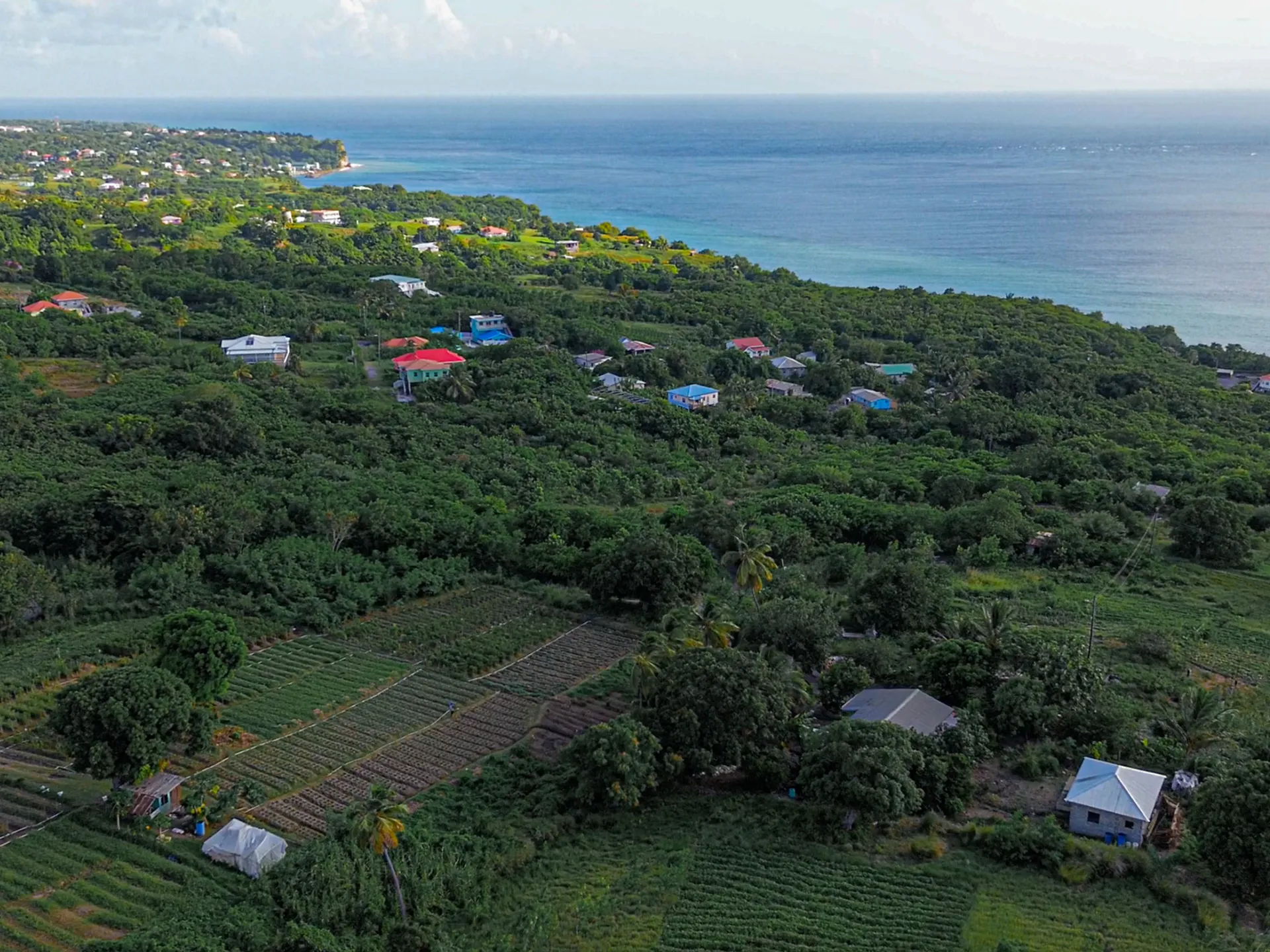 Saint Lucia Real Estate—Tet Rouge Resort | Realty St. Lucia front of villa view