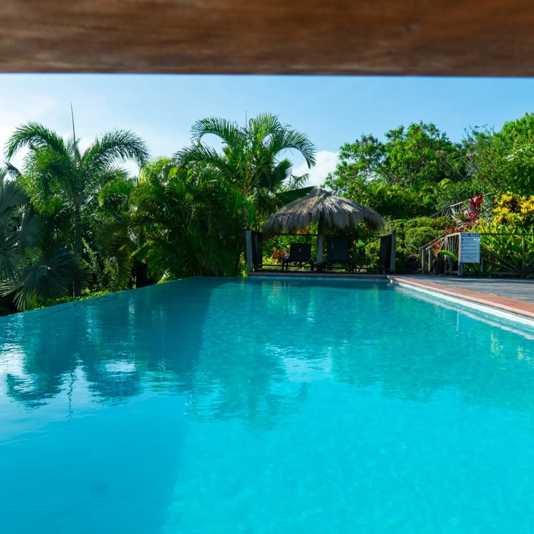 St. Lucia Real Estate—Tet Rouge Resort | Realty St. Lucia pool