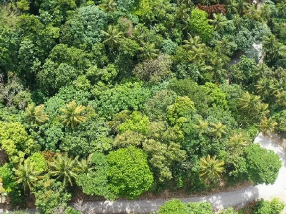 7.91 Acres Development Land For Sale in Soufrière, Saint Lucia